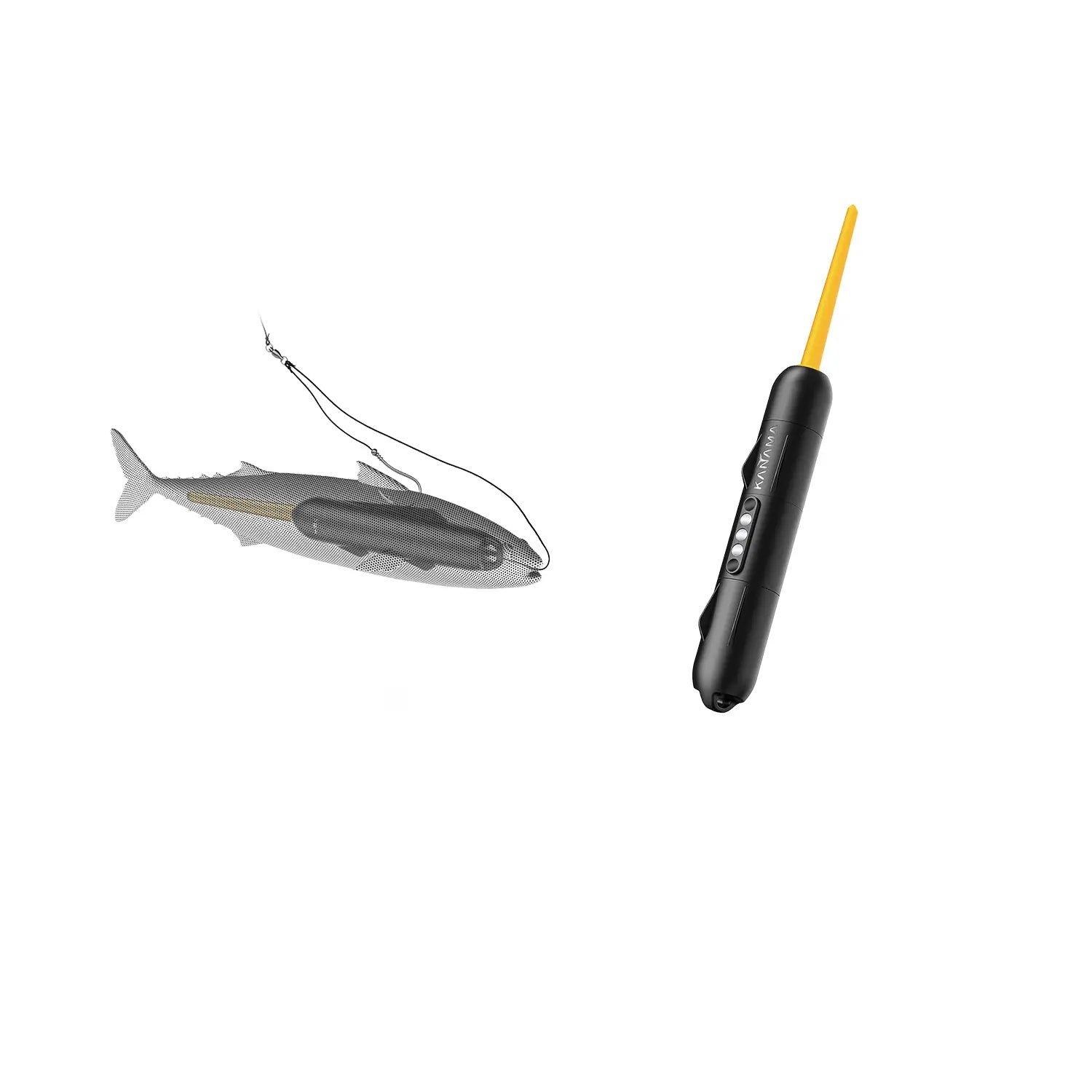 Free_Fishing_Gear_Gift_Pack
