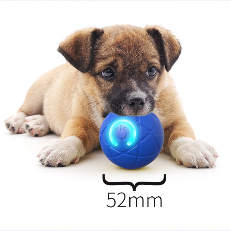spp_shopify20260709120053_164ed62c9af44e16894222e6bd9c8d55_42b045ed-f62e-496c-b3ca-1b894d9ebcbd